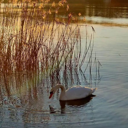 Tramonto Al