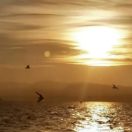 Tramonto Al *